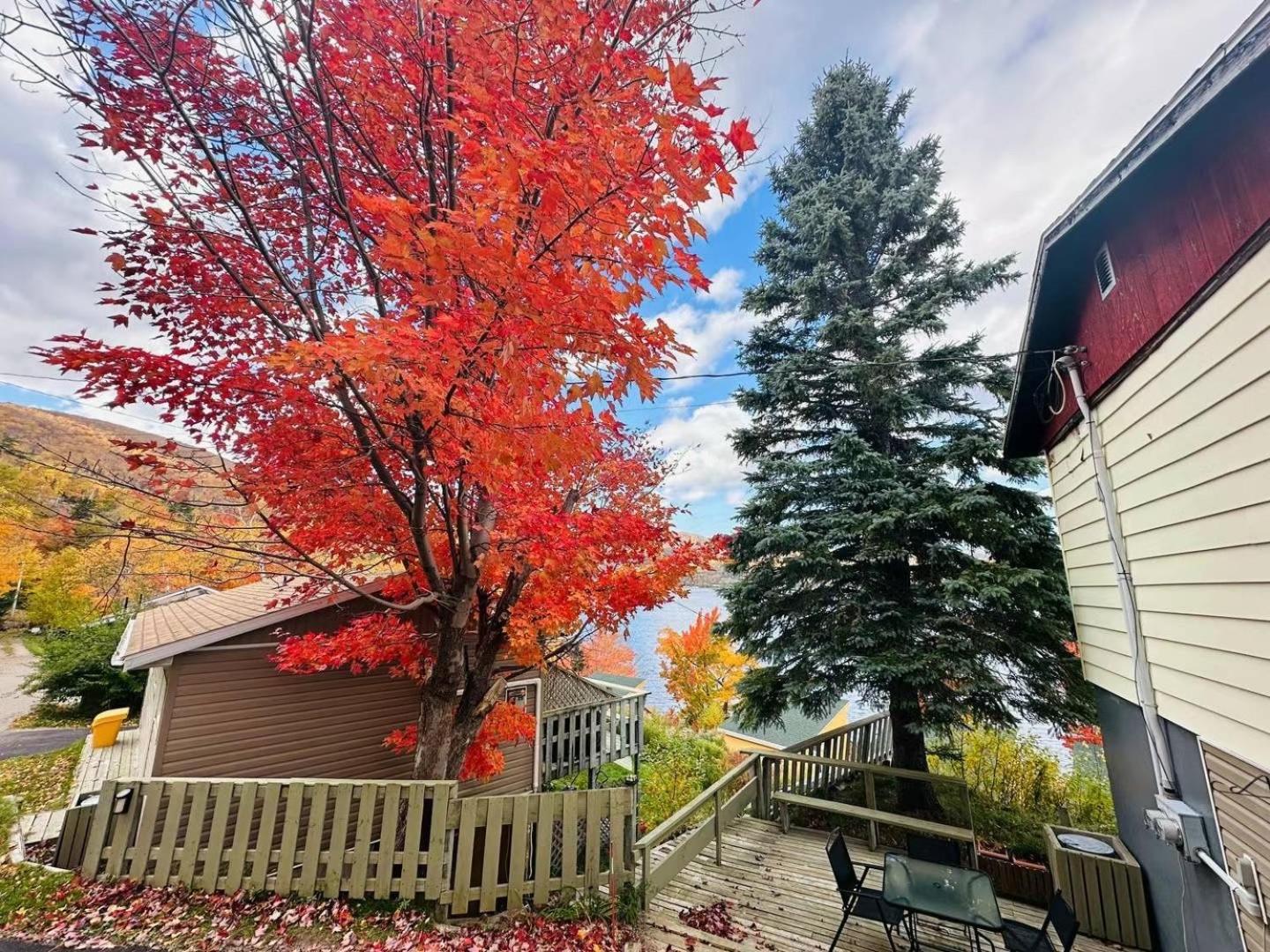 Knotty Pine Cottages, Suites & Motel Rooms Ингониш Екстериор снимка
